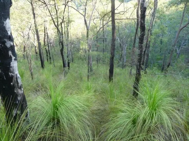 Fifth view of Homely land listing, Address available on request