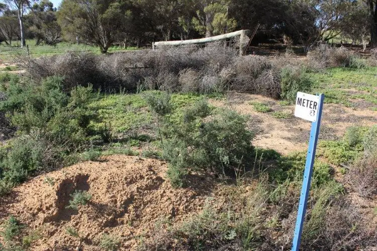 Fourth view of Homely rural property listing, Lot 16651 Korbrelkulling Road, Merredin WA 6415