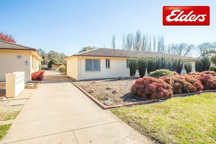 Main view of Homely block of units listing, 1 Young Street, Queanbeyan NSW 2620