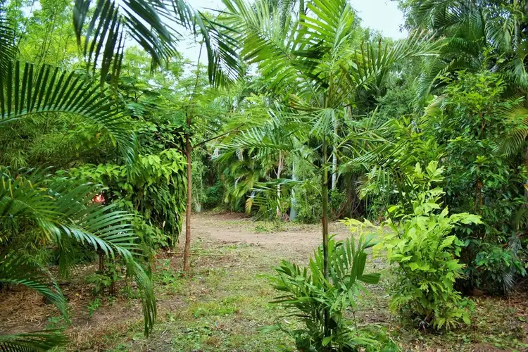Fourth view of Homely land listing, 4 Jean Street, Nelly Bay, Magnetic Island QLD 4819