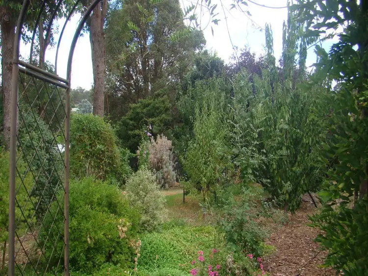 Sixth view of Homely house listing, 41 Blechynden Street, Bridgetown WA 6255