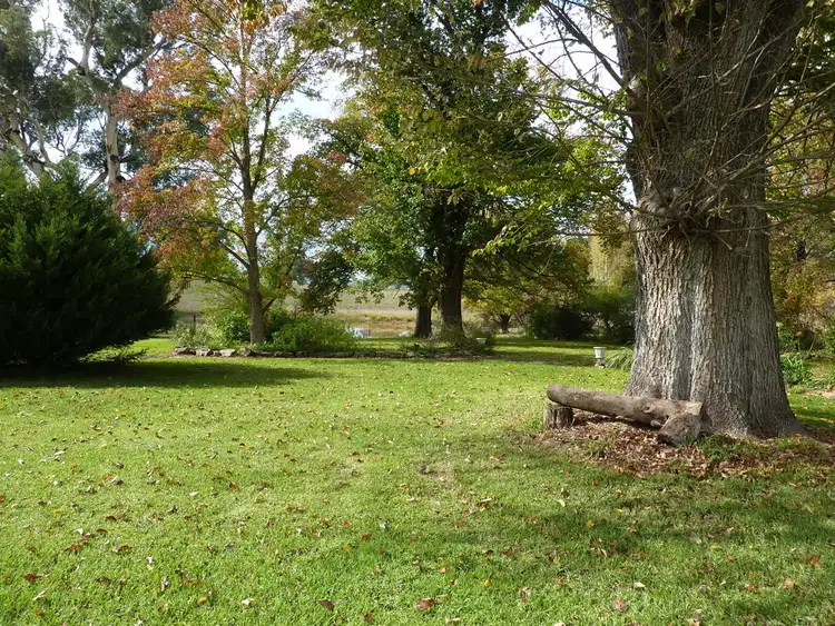 Fifth view of Homely rural property listing, 136 Shockeroo Road Humula, Wagga Wagga NSW 2650
