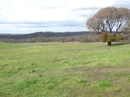 Fifth view of Homely rural property listing, 699 Taylors Flat Road, Boorowa NSW 2586