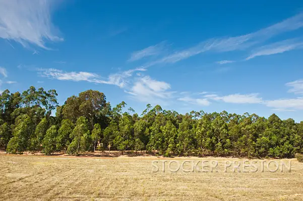 Third view of Homely land listing, 8/3599 Caves Road, Wilyabrup WA 6280