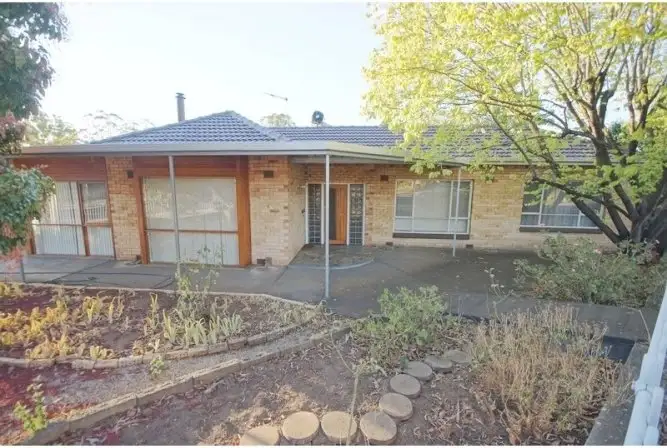 Main view of Homely house listing, 11 Grandview Grove, Magill SA 5072