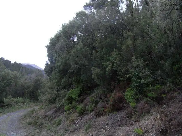 Third view of Homely land listing, . Crotty Street, Queenstown TAS 7467