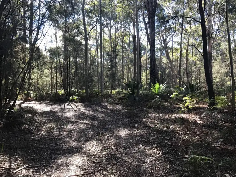 Seventh view of Homely land listing, 185 Brou Lake Road, Bodalla NSW 2545