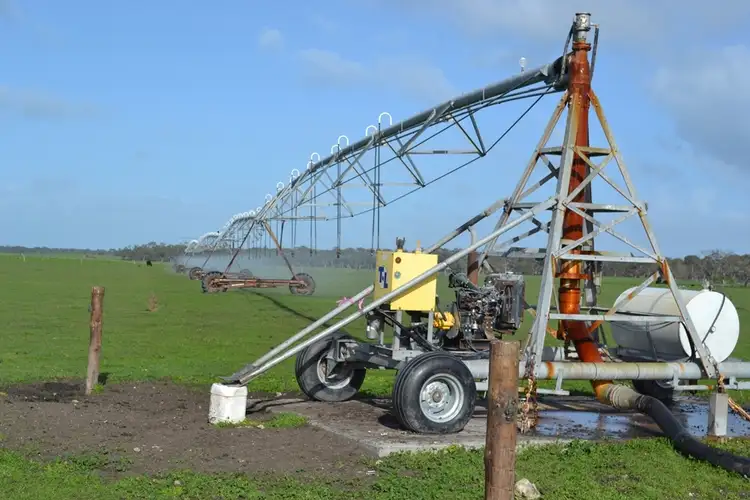 Fifth view of Homely rural property listing, 235 "Box Hill" Jabe Williams Road, Lucindale SA 5272