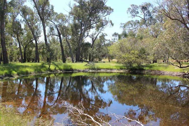 Third view of Homely rural property listing, 142 Leeder Road, Mokine via, Clackline WA 6564