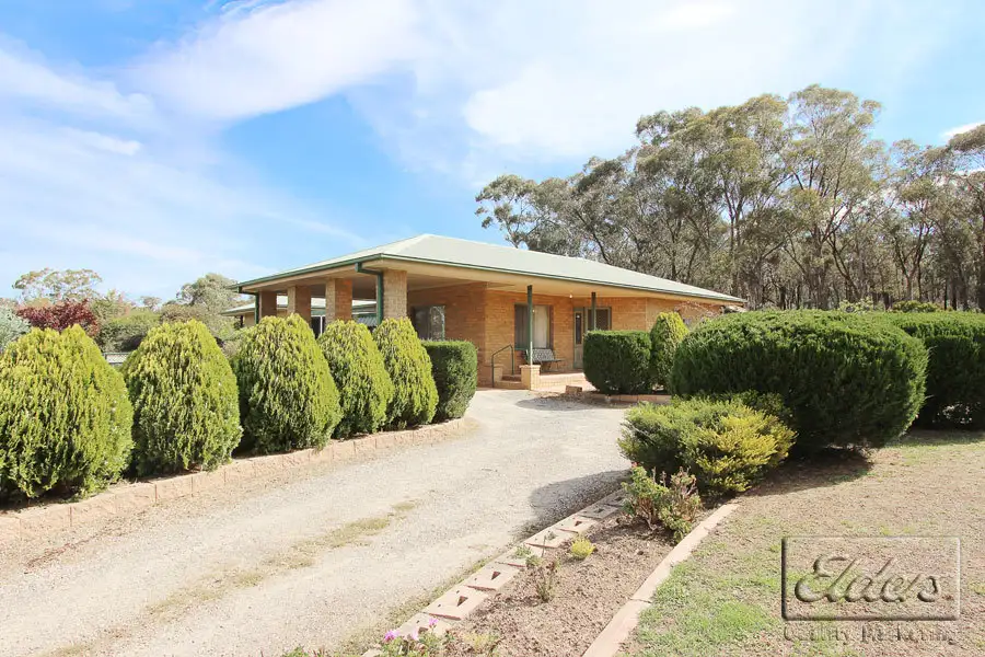 Main view of Homely house listing, 19 Cherry Tree Lane, Big Hill VIC 3555
