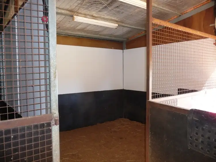 Fourth view of Homely rural property listing, 142 Bradleys Lane, Glen Innes NSW 2370