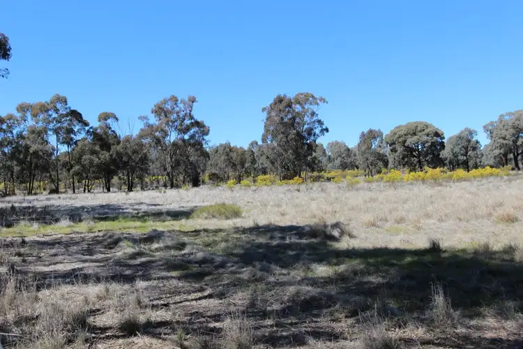 Fifth view of Homely rural property listing, 913 Thanowring Road, Temora NSW 2666