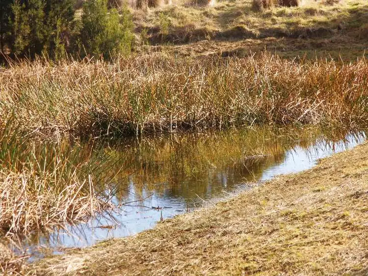 Sixth view of Homely land listing, 367 Memana Road, Flinders Island TAS 7255