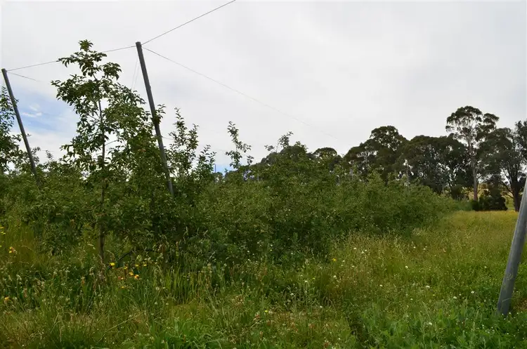 Sixth view of Homely rural property listing, 00 'Muttaroo' Mines Road, Batlow NSW 2730