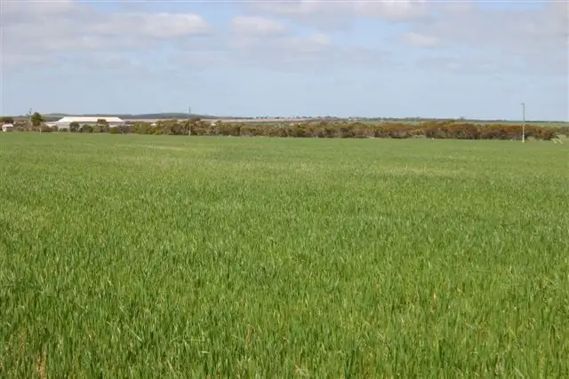 Second view of Homely rural property listing, Address available on request