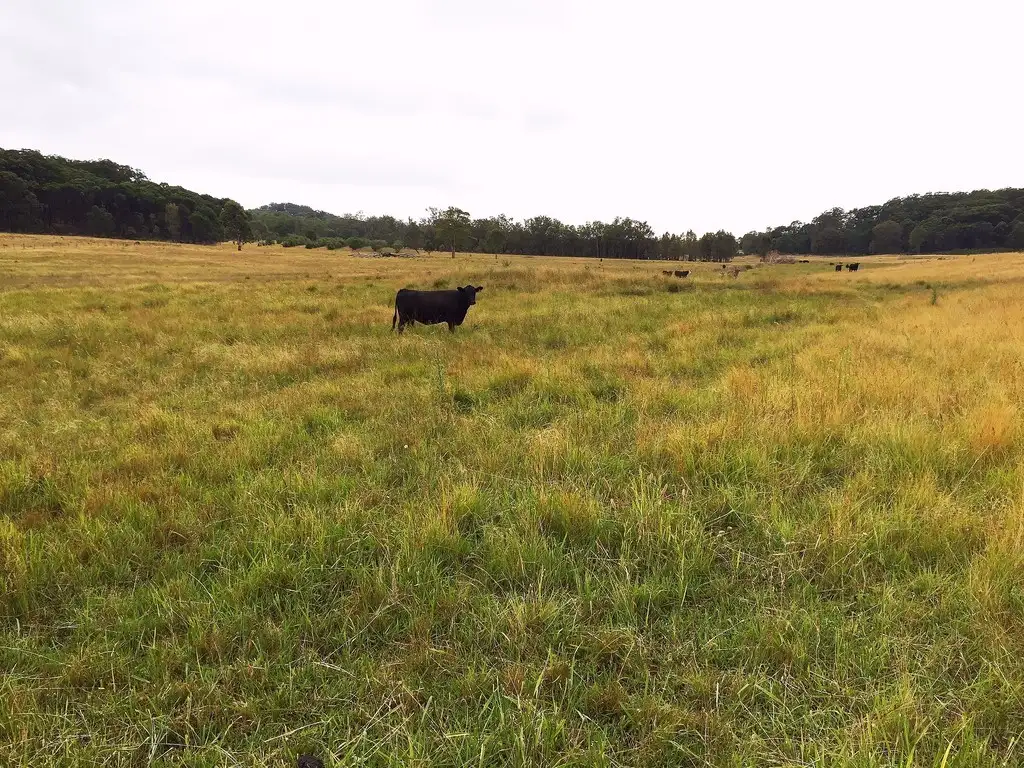 Main view of Homely rural property listing, 1732 Spring Ridge Road, Mudgee NSW 2850
