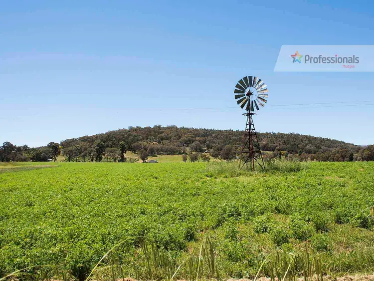 Third view of Homely rural property listing, 548 Henry Lawson Drive, Mudgee NSW 2850