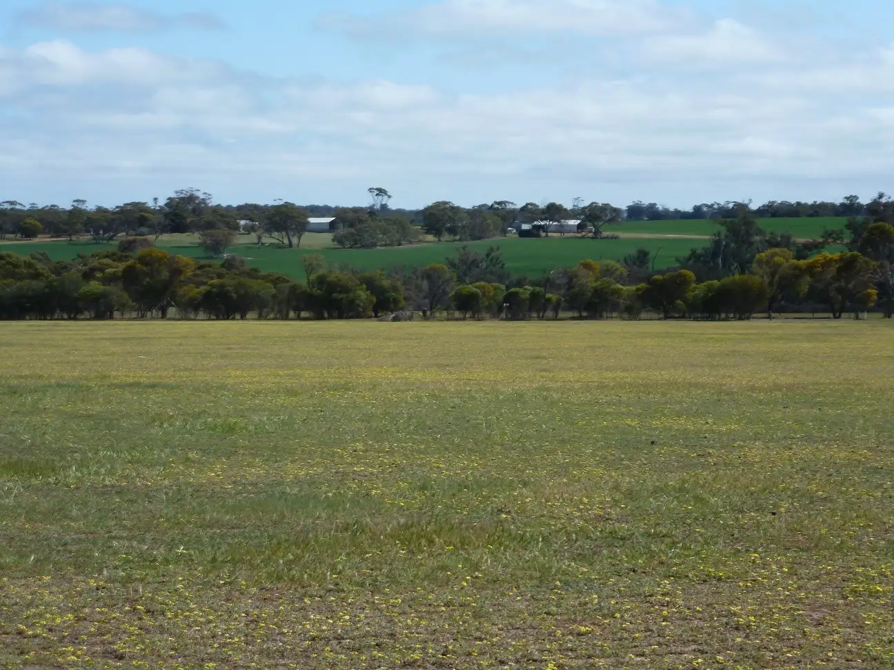 Main view of Homely rural property listing, Lot 1430 Cartmeticup Rd, Woodanilling via, Katanning WA 6317