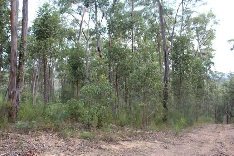 Fourth view of Homely land listing, Lot 19 Old Nelligen Road, Nelligen NSW 2536