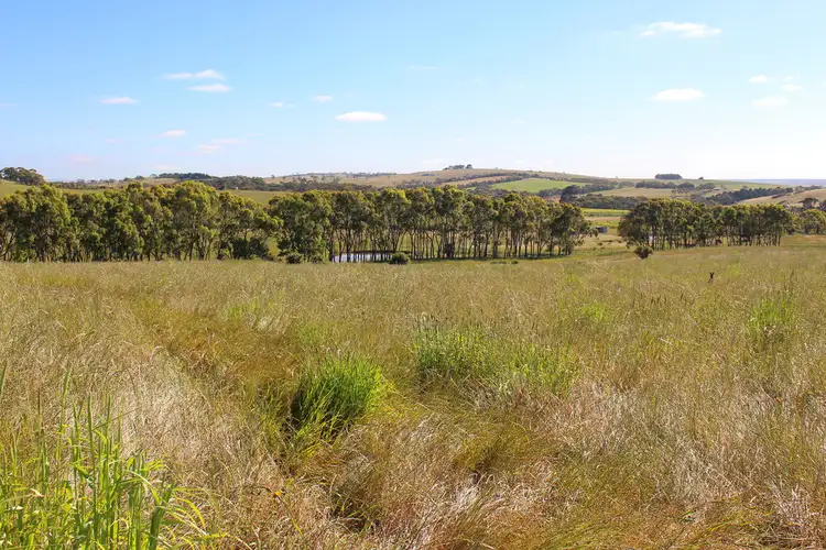 Fifth view of Homely rural property listing, A101 Burgar Road, Middleton SA 5213