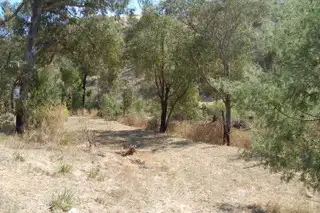 Main view of Homely land listing, 37 Long Gully Road, Flowerdale VIC 3658