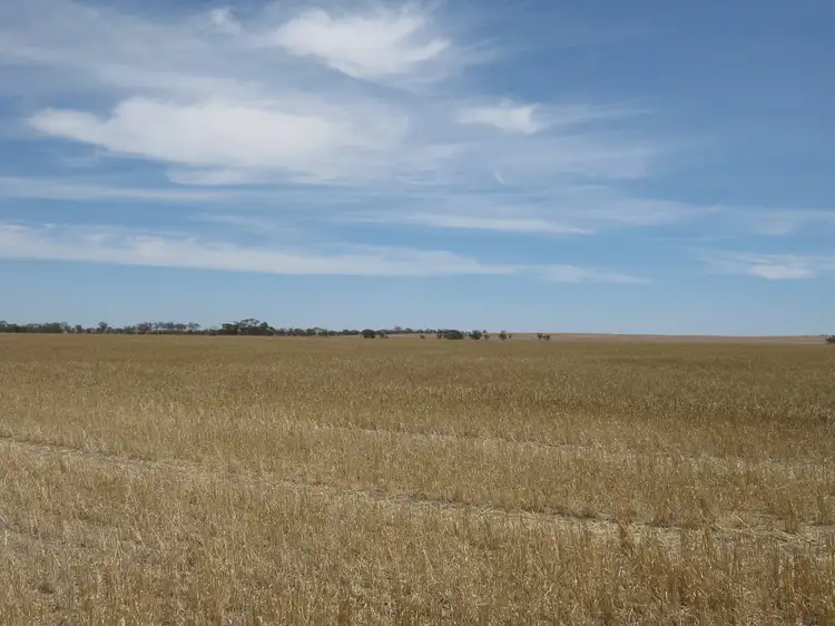 Main view of Homely rural property listing, Section 458 Prescott Road, Wolseley SA 5269