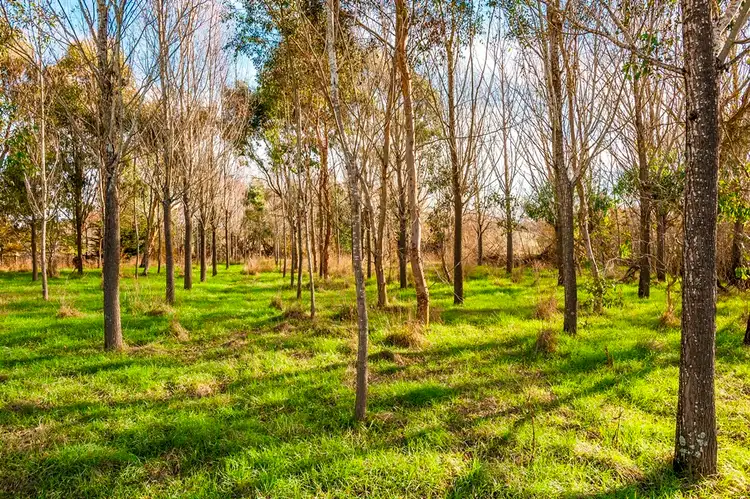 Second view of Homely land listing, Lot 1 The Willow Shack via Ebden Street, Carlsruhe VIC 3442