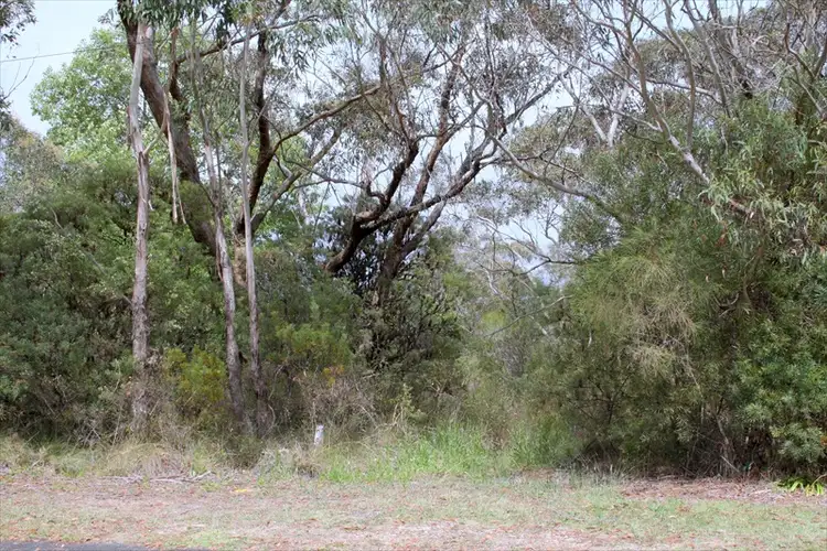 55 Tableland Road, Wentworth Falls NSW 2782