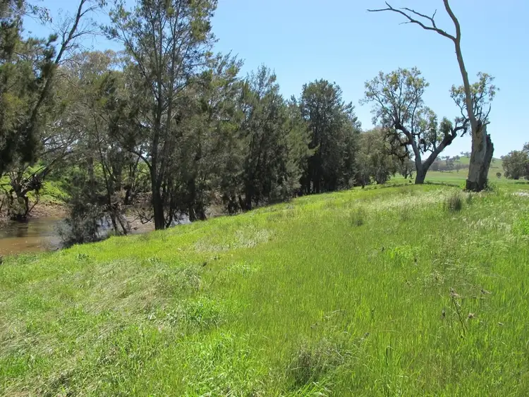 Third view of Homely rural property listing, 4078 Twelve Mile Road, Mudgee NSW 2850