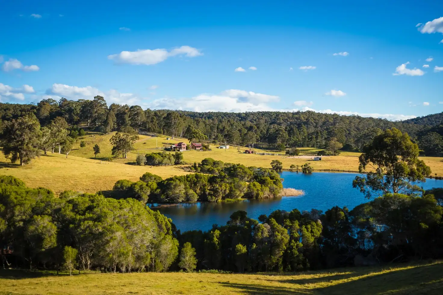 Main view of Homely house listing, 212 Murrah River Forest Rd, Cuttagee NSW 2546