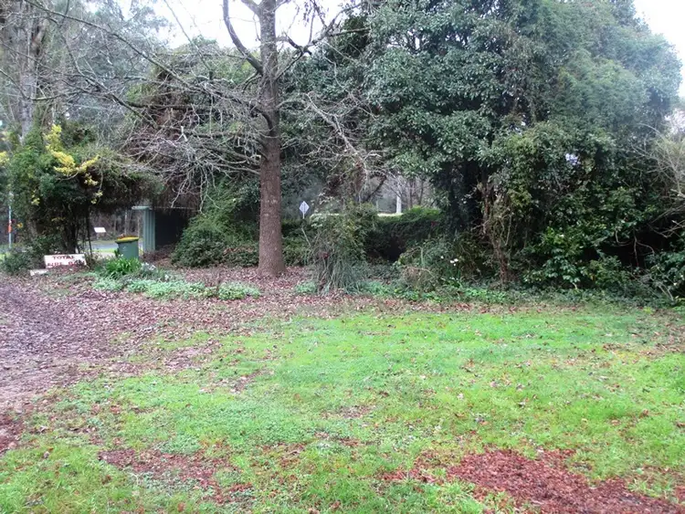 Third view of Homely house listing, 3321 Maroondah Hwy, Taggerty VIC 3714
