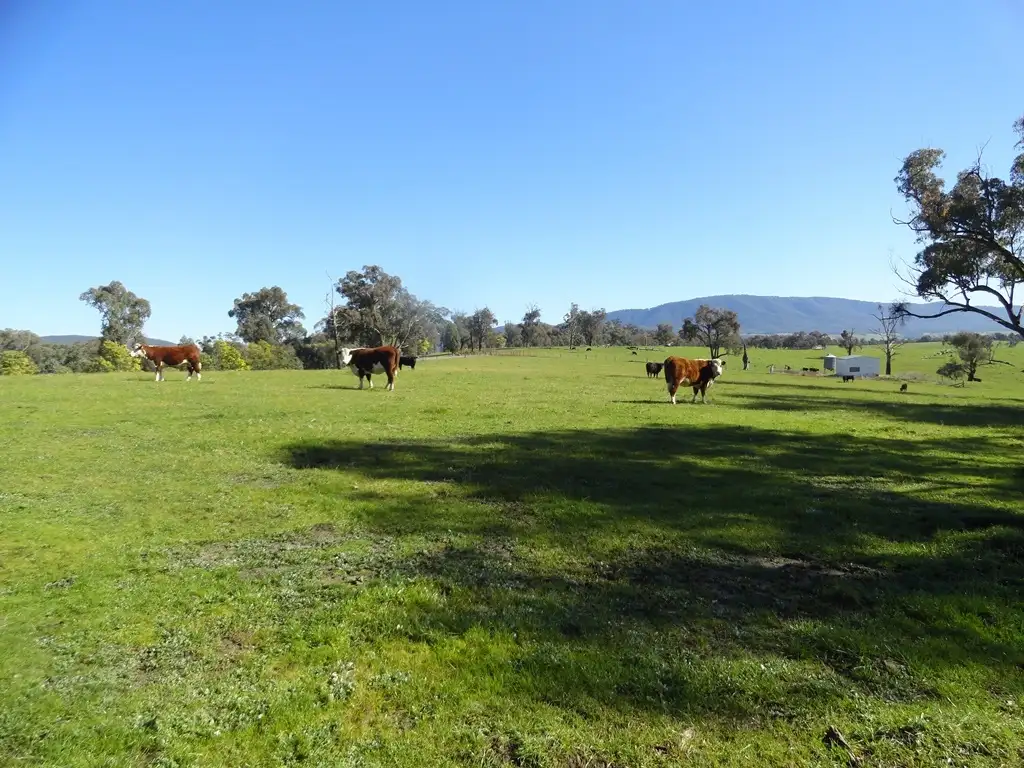 Main view of Homely rural property listing, Lots 1&2 Blacks Flat Road, Mudgegonga VIC 3737