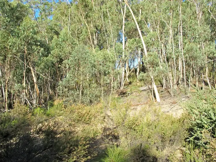 Fourth view of Homely rural property listing, 71 Perke Road, Mudgee NSW 2850