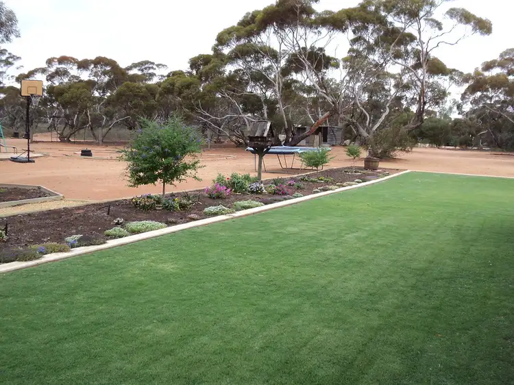 Fifth view of Homely house listing, 56 Slaughter rd, Barmera SA 5345