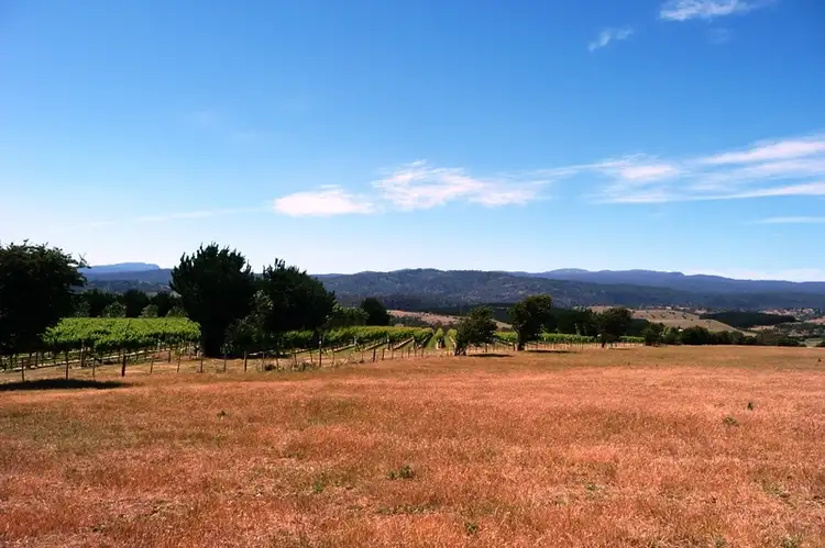 Fifth view of Homely rural property listing, 171 Egerton Road, White Hills TAS 7258