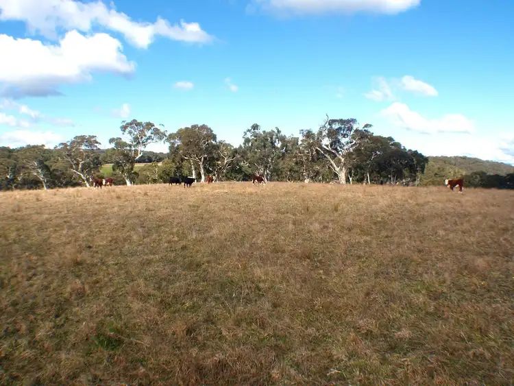 Fifth view of Homely rural property listing, 682 Nowra Road, Moss Vale NSW 2577