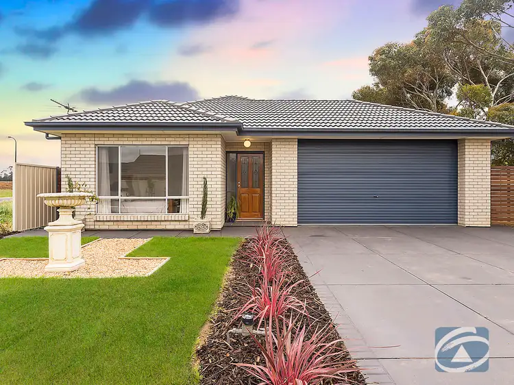 Main view of Homely house listing, 52 Chardonnay Drive, Nuriootpa SA 5355