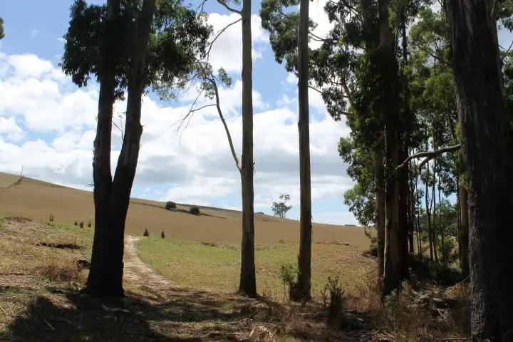 Sixth view of Homely land listing, 80 Tippetts Road, Mount Hicks TAS 7325