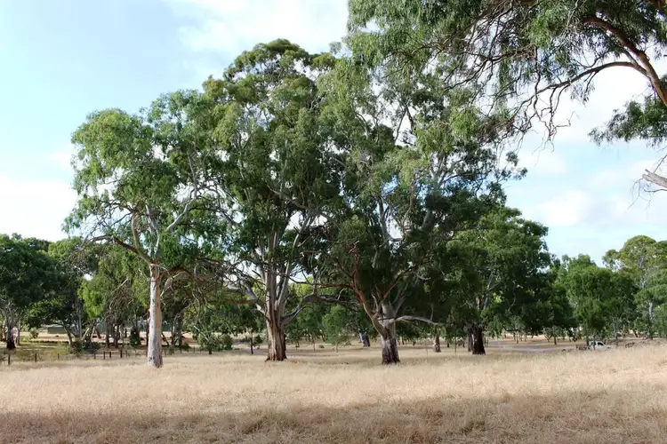 Sixth view of Homely land listing, Lot 53 Henry Martin Road, Ashbourne SA 5157