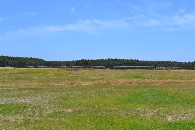 Fourth view of Homely land listing, 31308 Princes Highway, Tantanoola SA 5280