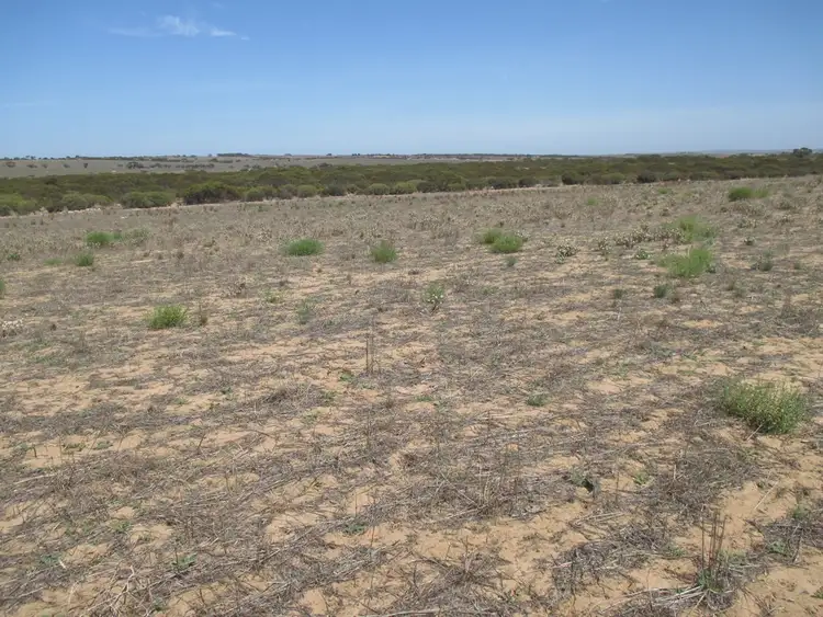 Sixth view of Homely rural property listing, A10 Karoonda Rd, Burdett SA 5253