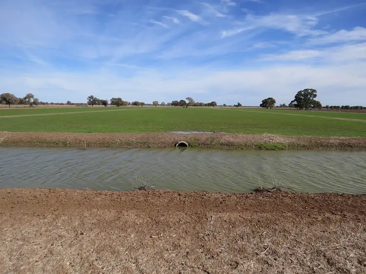 Second view of Homely rural property listing, "Bungaree" Flanagans Lane, Deniliquin NSW 2710
