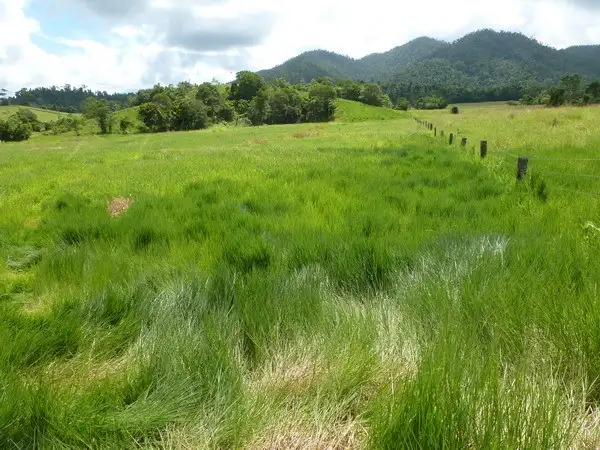 Main view of Homely rural property listing, Address available on request