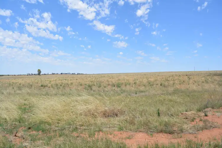 Second view of Homely rural property listing, 60 Werrimull Road North, Werrimull VIC 3496