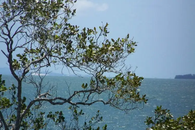 Second view of Homely house listing, 34 GOODSELL cres, Lamb Island QLD 4184