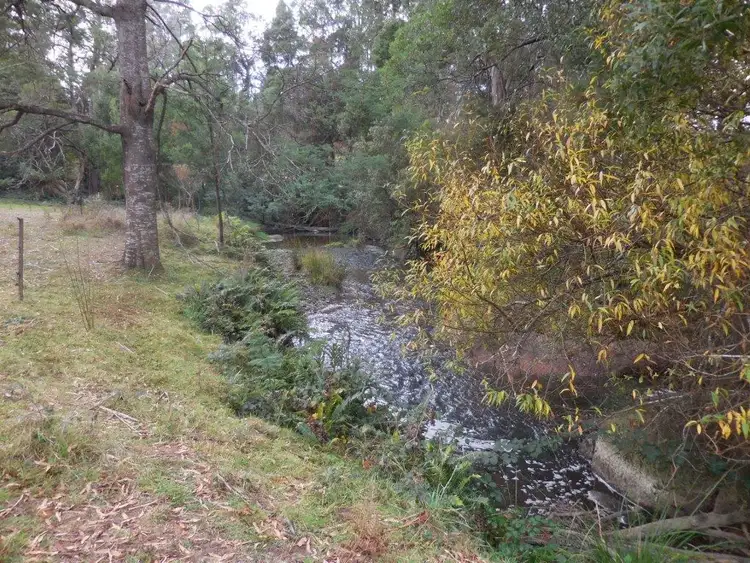Third view of Homely rural property listing, 349 TEN MILE TRACK, Springfield TAS 7260