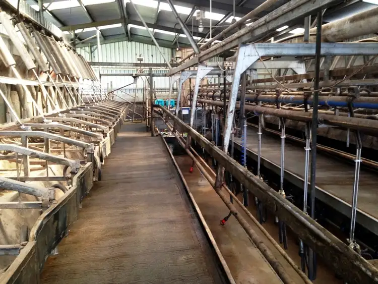 Third view of Homely rural property listing, 5583 Princes Highway, Boorcan VIC 3265