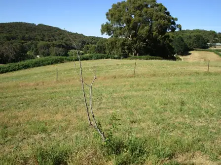 Main view of Homely land listing, lot 211 Sharps Road, Carey Gully SA 5144