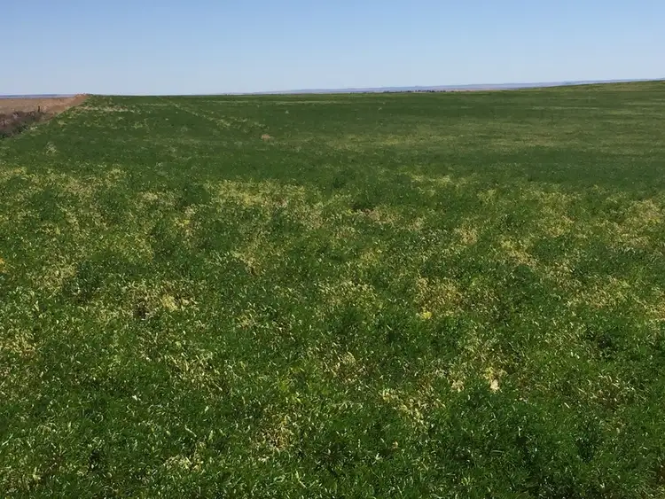 Sixth view of Homely rural property listing, Allotment 1 Chilman's Road, Port Neill SA 5604