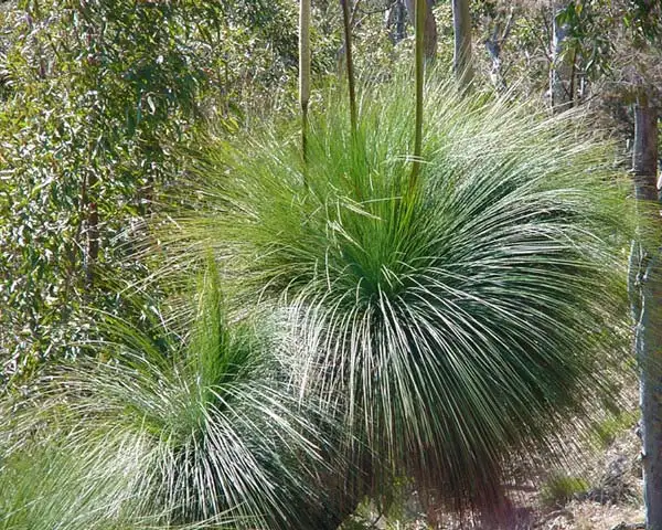 Sixth view of Homely land listing, 1 (Lot 24) Honeytree Grove, Cowaramup WA 6284